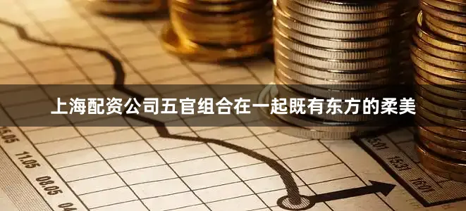 上海配资公司五官组合在一起既有东方的柔美