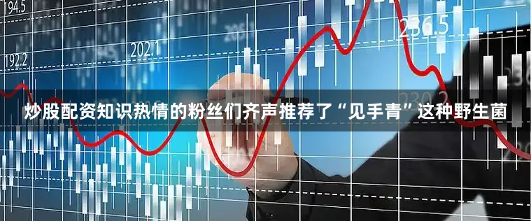 炒股配资知识热情的粉丝们齐声推荐了“见手青”这种野生菌