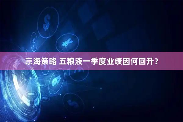 京海策略 五粮液一季度业绩因何回升？